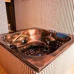 Le Voluptueux ~ Sauna ~ Jacuzzi ~ Centre-ville *